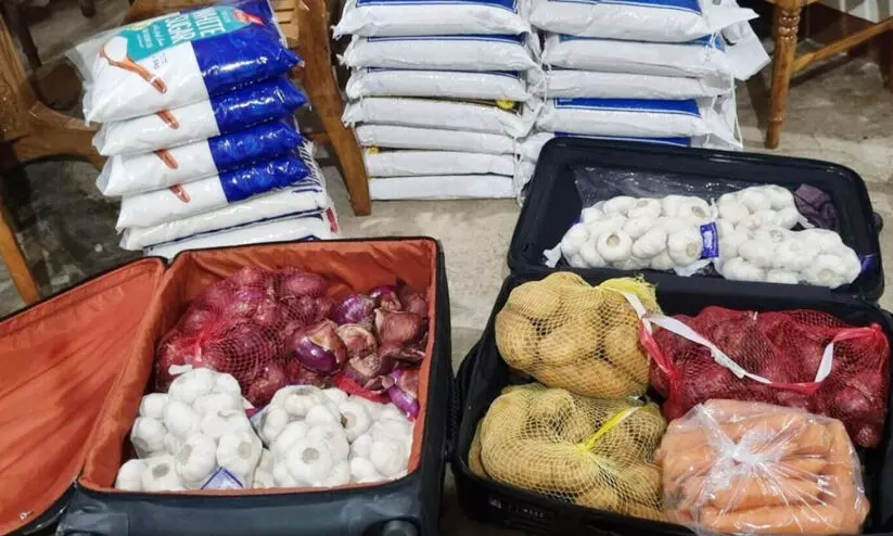 onion 899867a onion 899867a