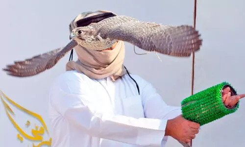 ഇ​ന്റ​ർ​നാ​ഷ​ന​ൽ ഫാ​ൽ​ക്ക​ൺ​സ് ഫെ​സ്റ്റി​വ​ൽ: ഫൈ​ന​ൽ ഇ​ന്നു​മു​ത​ൽ