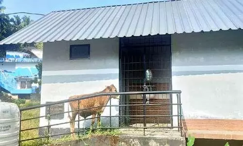 തലയാട് ബസ് സ്റ്റാൻഡിലെ വഴിയിടം ശൗചാലയത്തിൽ വെള്ളമില്ല; അടഞ്ഞു തന്നെ