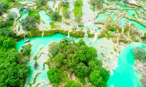 സഞ്ചാരികളേ, സുന്ദരമാണ് സലാല സഞ്ചാരികളേ, സുന്ദരമാണ് സലാല