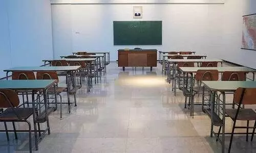 manjadi-mathematical curriculum project