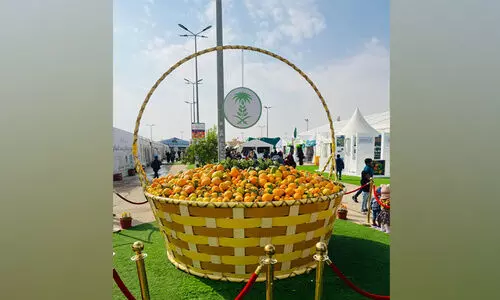 ഹരീഖിൽ ഓറഞ്ച്​ മണവും വർണവും പരത്തി മധുരനാരങ്ങ മേളക്ക്​ തുടക്കം