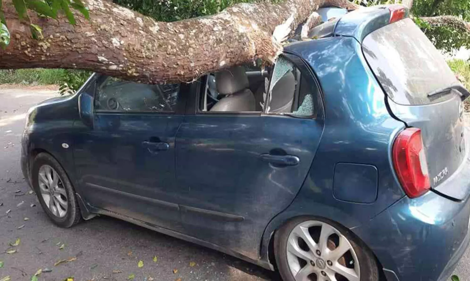 നിര്‍ത്തിയിട്ട കാറിന് മുകളില്‍ മരം വീണു