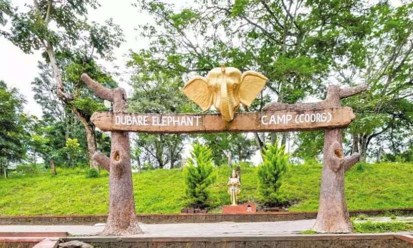 ദു​ബാ​രെ ആ​ന ക്യാ​മ്പി​ൽ സ​ഞ്ചാ​രി​ക​ൾ​ക്ക് വി​ല​ക്ക്