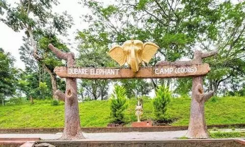 ദു​ബാ​രെ ആ​ന ക്യാ​മ്പി​ൽ സ​ഞ്ചാ​രി​ക​ൾ​ക്ക് വി​ല​ക്ക്