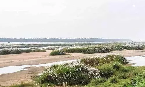 മകരം പിറന്നപ്പോഴേക്കും വരണ്ട് ഭാരതപ്പുഴ