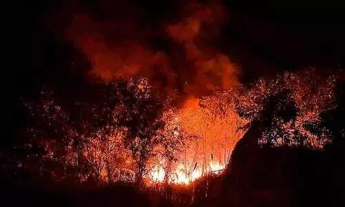 മട്ടാഞ്ചേരിയിൽ മാലിന്യക്കൂമ്പാരത്തിന് തീപിടിച്ചു