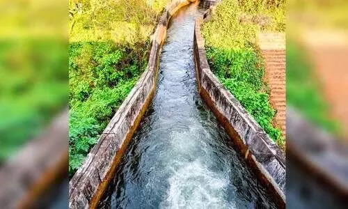 കനാൽ വഴി ജലസേചനം തുടങ്ങി