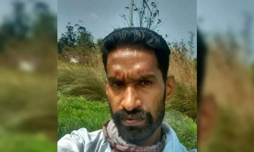 jomon 8090967 jomon 8090967