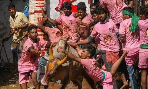 തമിഴ്​നാട് ജെല്ലിക്കെട്ട്​ ലഹരിയിൽ