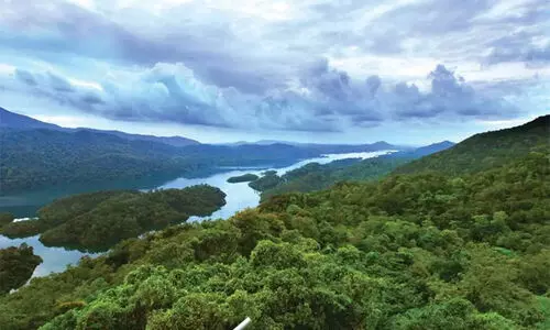 ബഫര്‍ സോണ്‍: സുപ്രീം കോടതിയുടെ നിരീക്ഷണം പ്രതീക്ഷ നല്‍കുന്നുവെന്ന് റോഷിഅഗസ്റ്റിന്‍