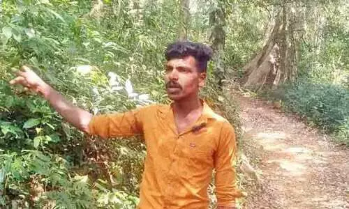 കാട്ടാനകളുടെ ചിന്നംവിളിയിൽ ഭയപ്പാടോടെ പന്ന്യേരി,  പറക്കാട് മലനിവാസികൾ