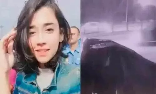 Chandigarh hit-and-run: Man held for running over woman feeding stray dog