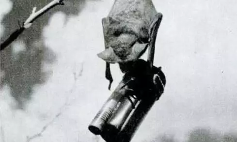 Bat bomb Bat bomb