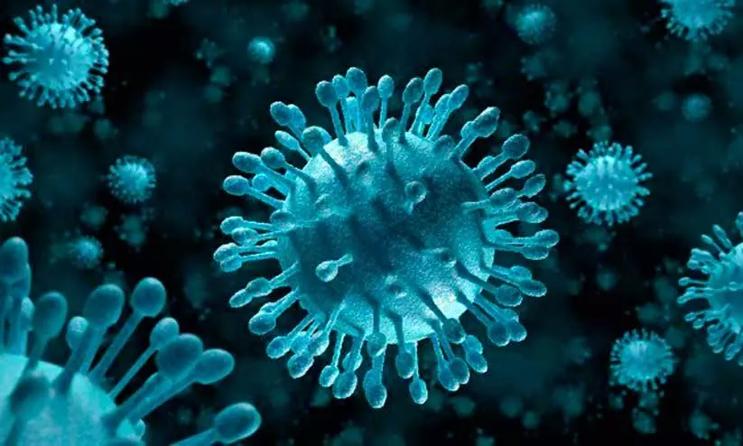 കിഴക്കന്‍ മേഖലയില്‍ പകർച്ചപ്പനി പടരുന്നു