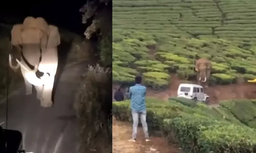 padayappa 98976 padayappa 98976