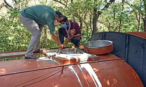 Hydrogen peroxide in milk