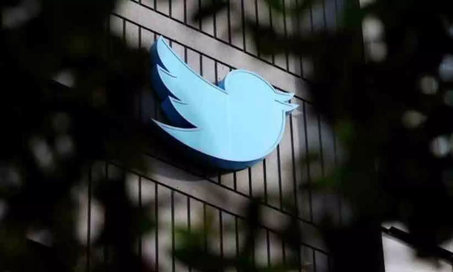 Twitter sells out, office bird sculpture sells for $100,000