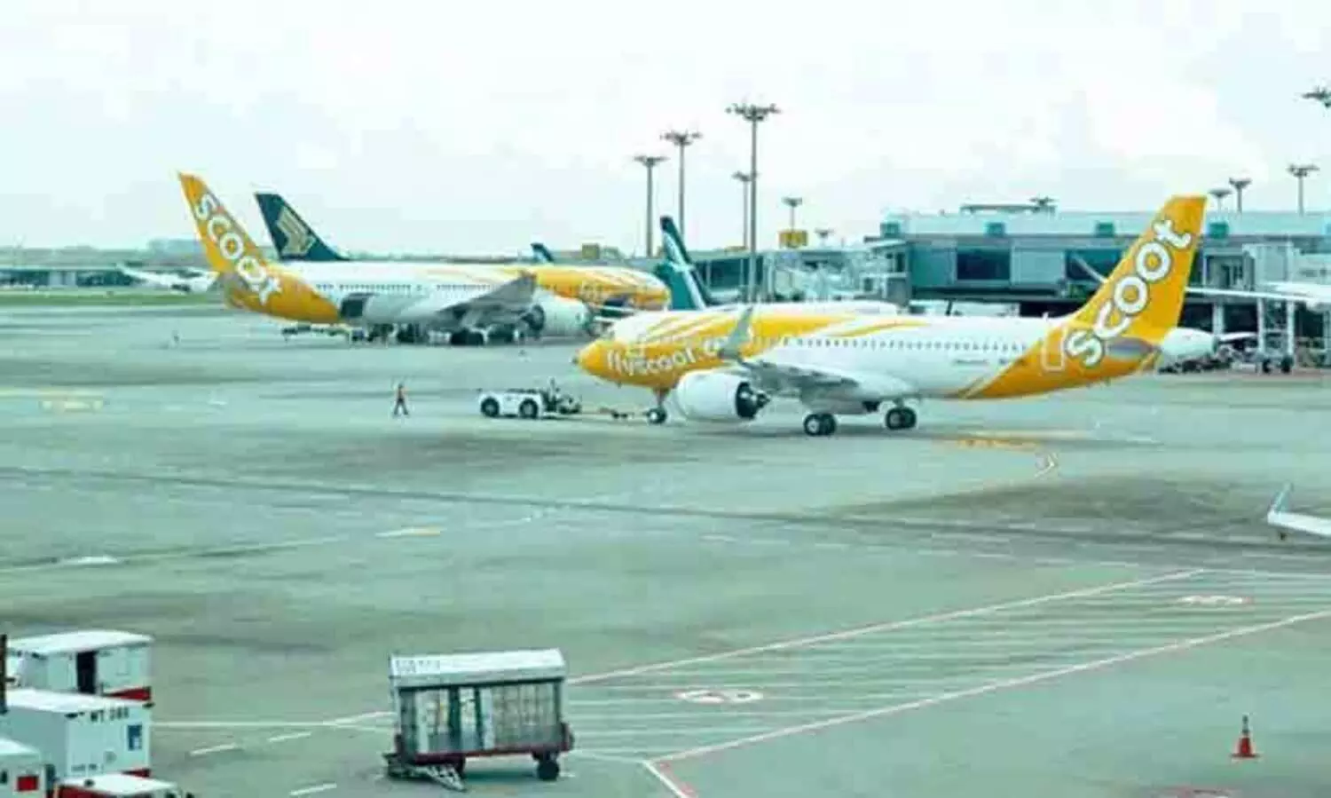 Scoot Airlines