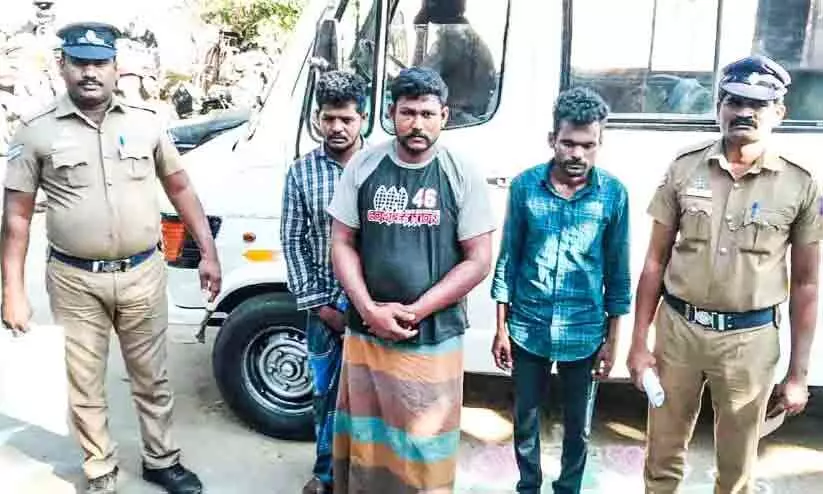 ഉണക്കമീൻ ലോറിയിൽ 1200 കിലോ കഞ്ചാവ്: പ്രതികൾ റിമാൻഡിൽ ഉണക്കമീൻ ലോറിയിൽ 1200 കിലോ കഞ്ചാവ്: പ്രതികൾ റിമാൻഡിൽ