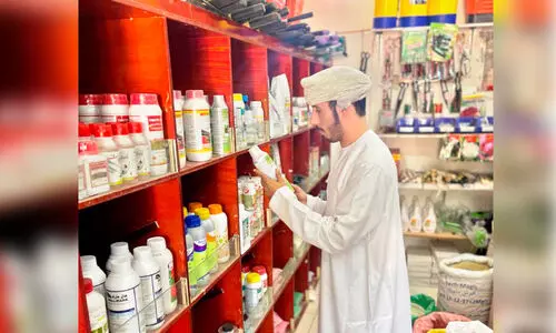 ഒമാനിൽ കാ​ർ​ഷി​ക ന​ഴ്​​സ​റി​ക​ളി​ൽ പ​രി​ശോ​ധ​ന