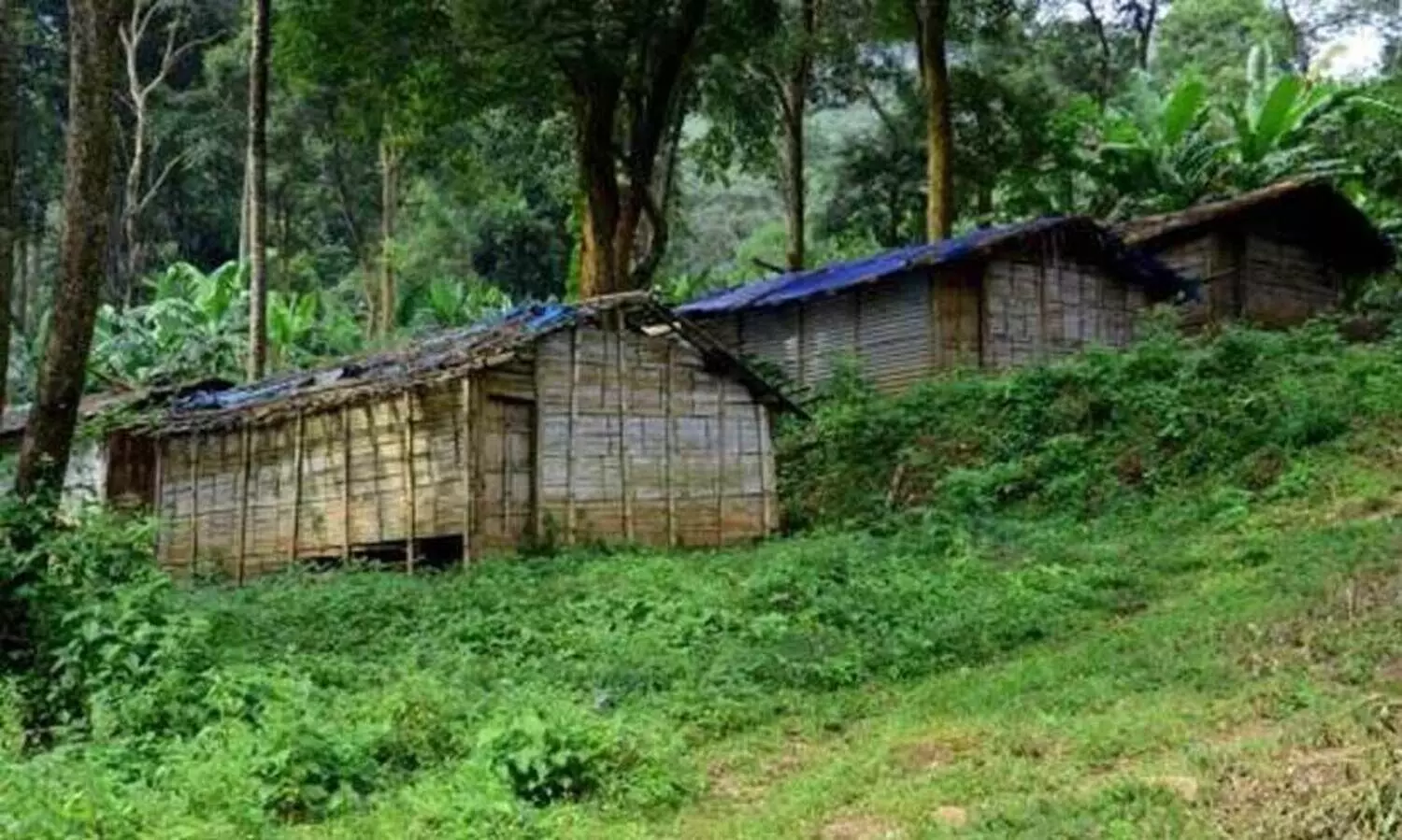 ചെലവിടുന്നത് കോടികൾ; എന്നിട്ടും വികസനമെത്താതെ ആദിവാസി കോളനികൾ