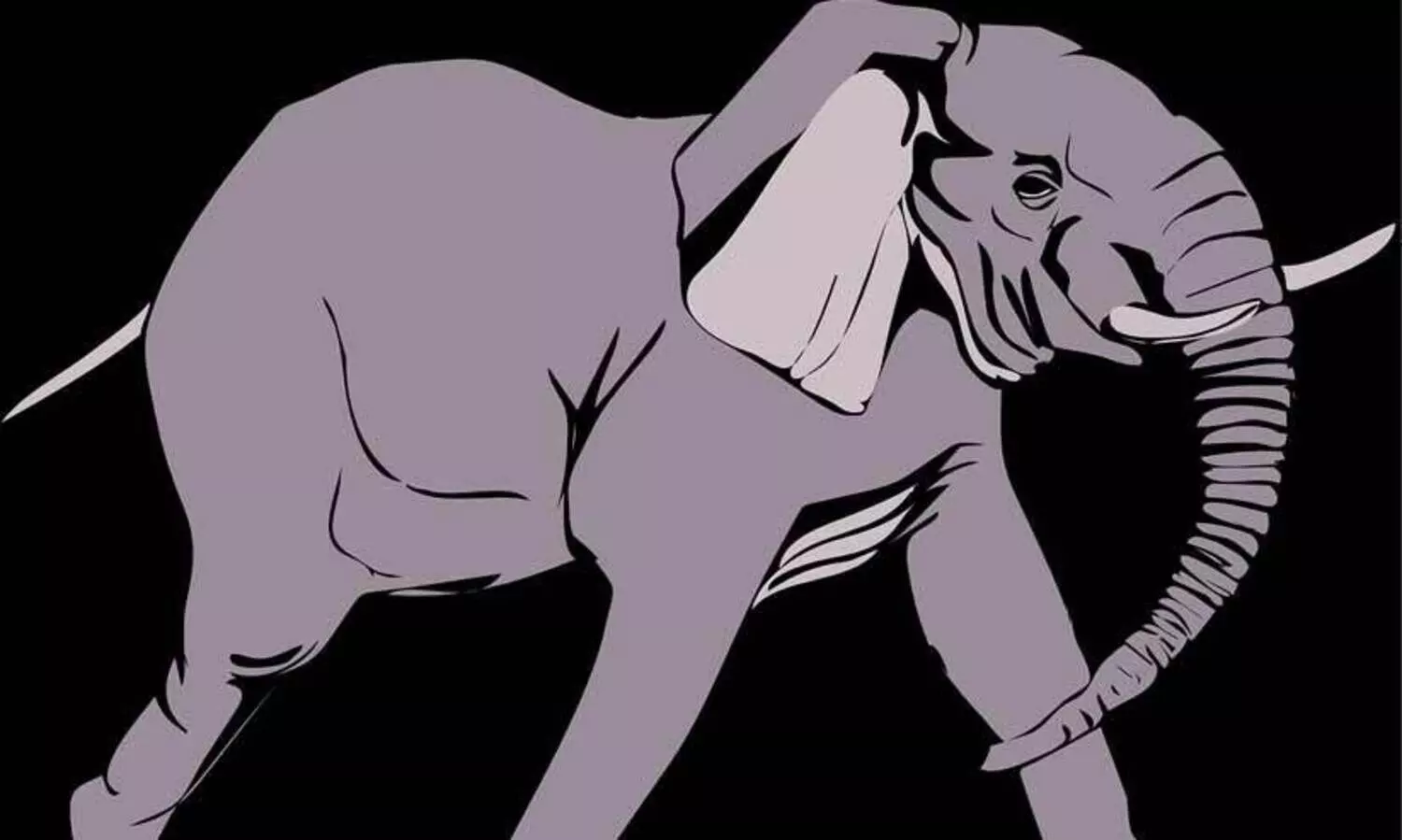 വീണ്ടും കട തകർത്ത് അരിക്കൊമ്പൻ; അകത്താക്കിയത് 50 കിലോ അരി