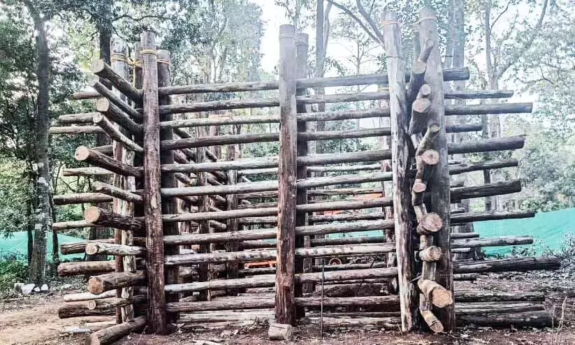 കാട്ടാന പി.ടി സെവന് വേണ്ടി ധോണിയിൽ ഒരുക്കിയ കൂട് കാട്ടാന പി.ടി സെവന് വേണ്ടി ധോണിയിൽ ഒരുക്കിയ കൂട്