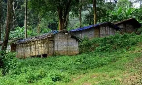ചെലവിടുന്നത് കോടികൾ; എന്നിട്ടും വികസനമെത്താതെ ആദിവാസി കോളനികൾ ചെലവിടുന്നത് കോടികൾ; എന്നിട്ടും വികസനമെത്താതെ ആദിവാസി കോളനികൾ