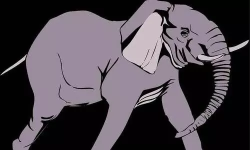 വീണ്ടും കട തകർത്ത് അരിക്കൊമ്പൻ; അകത്താക്കിയത് 50 കിലോ അരി