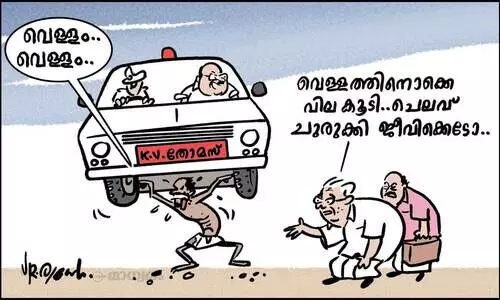 ചെലവ് ചുരുക്കൽ