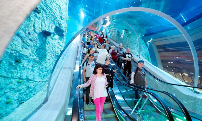 ‘മെ​യി​ൻ ഷി​ഫ് 6’