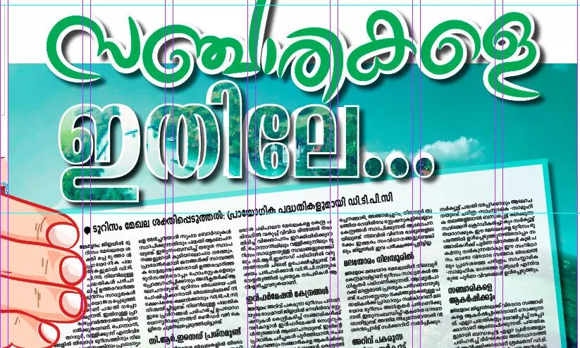 സഞ്ചാരികളെ ഇതിലെ ഇതിലെ...ടൂ​റി​സം മേ​ഖ​ല ശ​ക്തി​പ്പെ​ടു​ത്ത​ൽ: പ്രാ​യോ​ഗി​ക പ​ദ്ധ​തി​ക​ളു​മാ​യി ഡി.​ടി.​പി.​സി