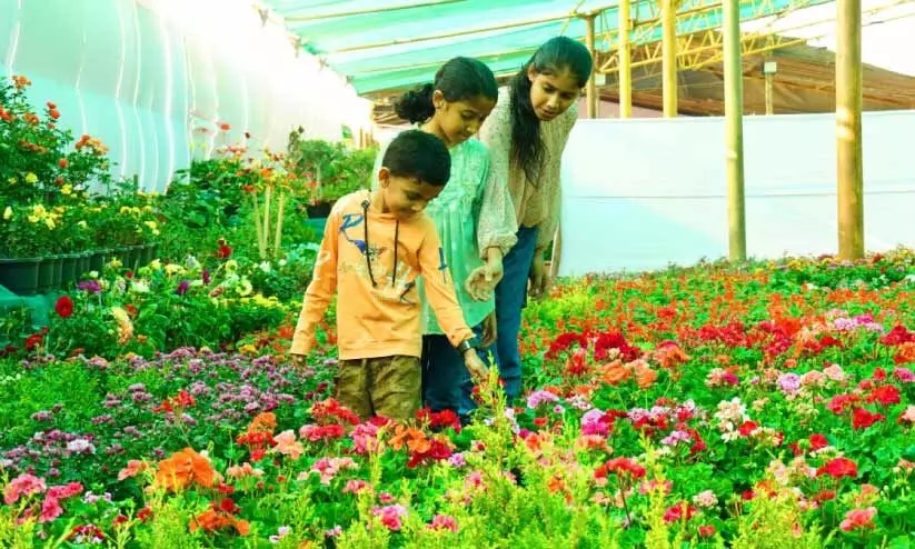 ബീച്ചിലൊരുങ്ങി, വസന്തോത്സവം