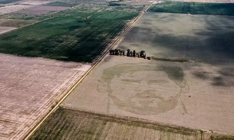 മെസ്സി ടാറ്റൂ വയലിൽ കൃഷി ചെയ്ത് കർഷകൻ; ആവേശക്കാഴ്ചയിൽ അർജന്റീന