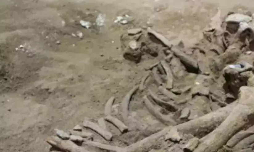 കുഞ്ഞുണ്ടാകാൻ മനുഷ്യ അസ്ഥി പൊടിച്ച് തീറ്റിച്ചു; ഭാർത്താവും വീട്ടുകാരും അറസ്റ്റിൽ