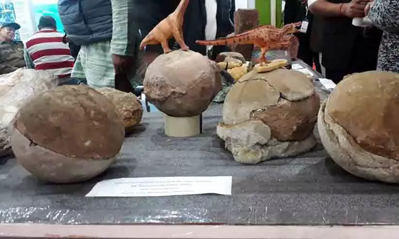 നർമദ താഴ്വരയിൽ ദിനോസർ കൂടുകളും മുട്ടകളും കണ്ടെത്തി നർമദ താഴ്വരയിൽ ദിനോസർ കൂടുകളും മുട്ടകളും കണ്ടെത്തി