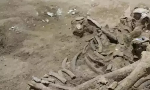 കുഞ്ഞുണ്ടാകാൻ മനുഷ്യ അസ്ഥി പൊടിച്ച് തീറ്റിച്ചു; ഭാർത്താവും വീട്ടുകാരും അറസ്റ്റിൽ