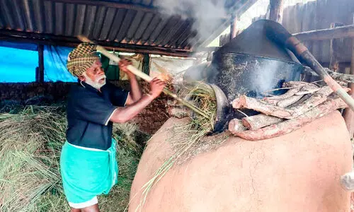 Grass cultivation Grass cultivation