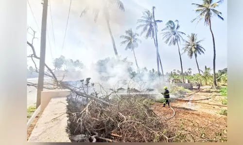 കൃ​ഷി​യി​ട​ത്തി​ന്​ തീ​പി​ടി​ച്ചു