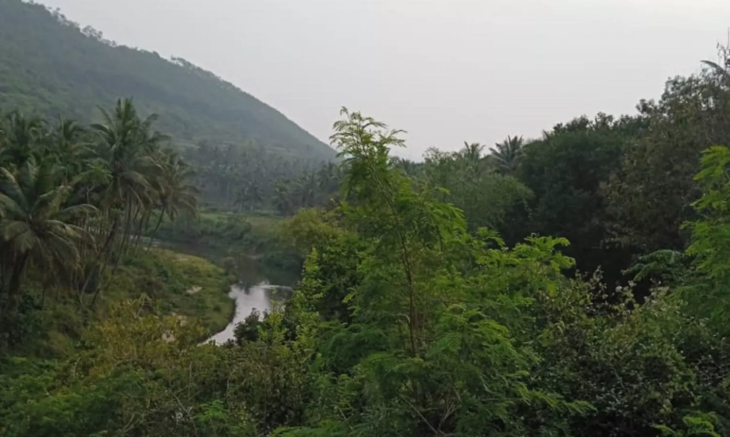 അട്ടപ്പാടിയിലെ രണ്ട് പെൺകുട്ടികളുടെ നീതിക്കായി റവന്യൂ മന്ത്രി ഇടപെടുമോ?