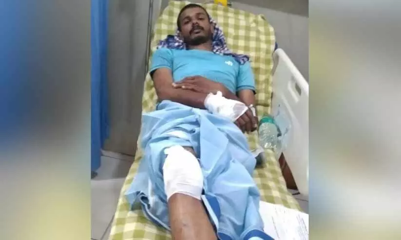 പത്രവിതരണത്തിനിടെ ബൈക്ക് യാത്രികന് കാട്ടുപന്നി ആക്രമണത്തിൽ പരിക്ക്