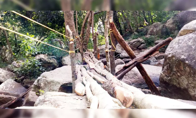 തൂവാനം വെള്ളച്ചാട്ടത്തിലേക്ക് ട്രക്കിങ് നാളെ മുതൽ തൂവാനം വെള്ളച്ചാട്ടത്തിലേക്ക് ട്രക്കിങ് നാളെ മുതൽ