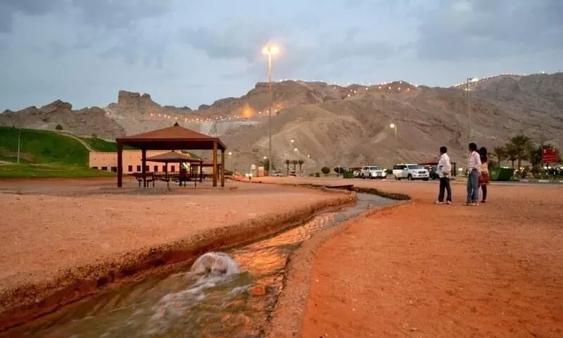 Green Mubazzarah Green Mubazzarah