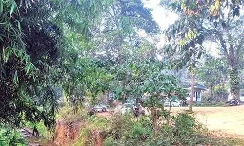 എൻ ഊര് പാർക്കിങ്ങിൽ ശൗചാലയമില്ല; മാലിന്യം പുഴയിലേക്ക്