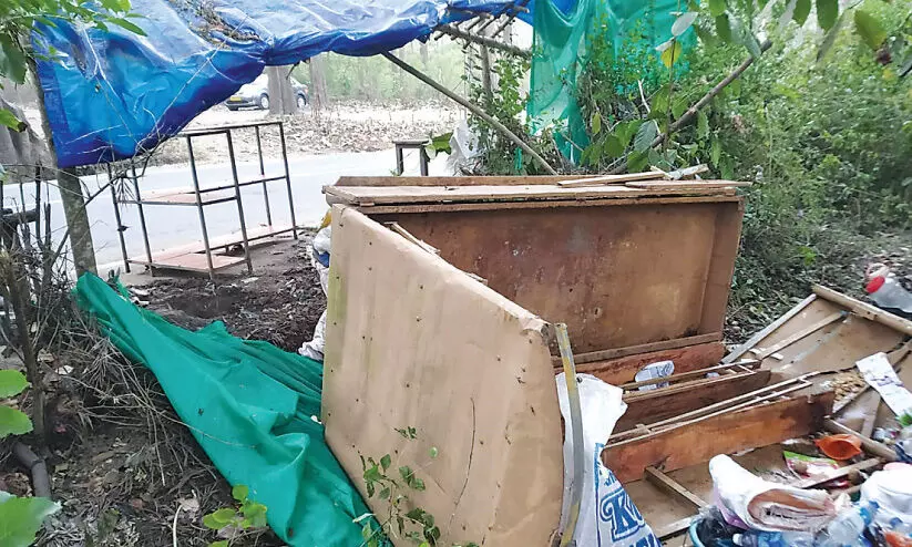 തോ​ൽ​പെട്ടി​യി​ൽ കാ​ട്ടാ​ന​യു​ടെ പ​രാ​ക്ര​മം; അ​ഞ്ച് പെ​ട്ടി​ക്ക​ട​ക​ൾ ത​ക​ർ​ത്തു