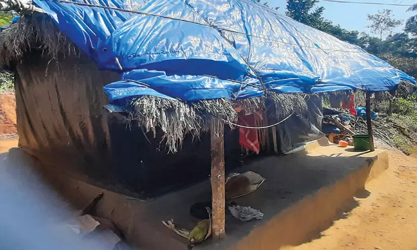 വികസനം അകലെ; ദുരിതങ്ങളുടെ പടുകുഴിയിൽ വായവറ്റ കോളനിവാസികൾ