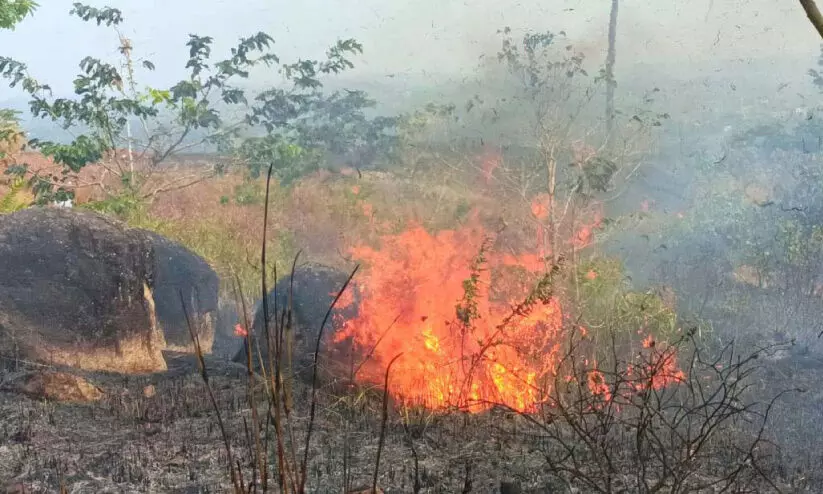മരുതിമലയിൽ പുല്ലിന് തീപിടിച്ചു; സഞ്ചാരികൾ ഓടി രക്ഷപ്പെട്ടു