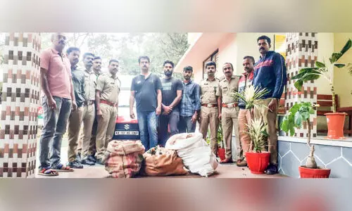 arrested with  sandalwood