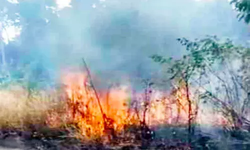 കൊ​ടു​ങ്ങ​ല്ലൂ​ർ ബൈ​പാ​സി​ൽ തീ​പി​ടി​ത്തം